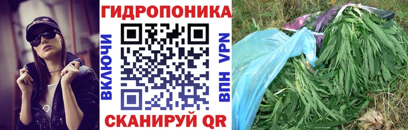 Виды наркотиков купить Ялуторовск ГАШИШ  Галлюциногенные грибы  A-PVP  МЕФ  Кокаин  Бошки Шишки 