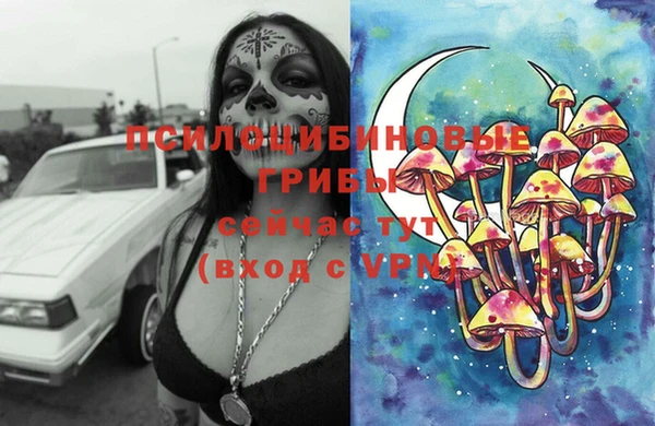 ГАЛЛЮЦИНОГЕННЫЕ ГРИБЫ Белокуриха