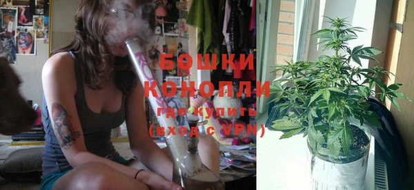 ГАЛЛЮЦИНОГЕННЫЕ ГРИБЫ Белокуриха